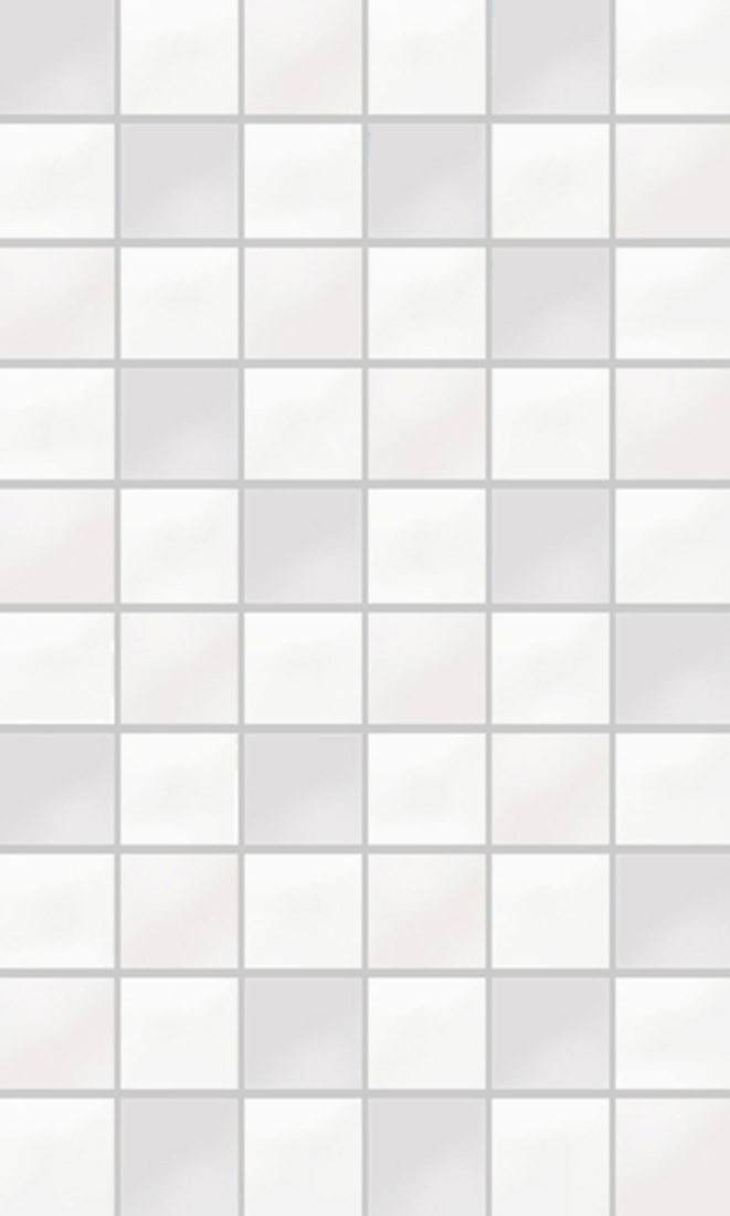 Slika od DUAL BIANCO 20X33,3