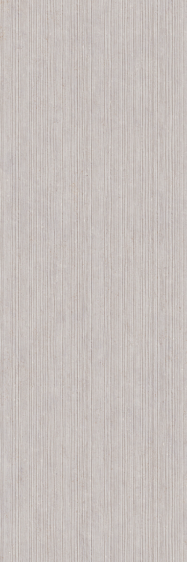 Slika od CENTURY GRAY 33,3X100