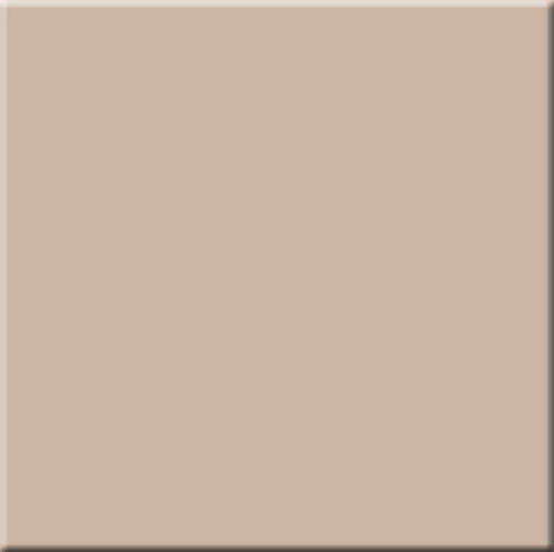 Slika od RAINBOW RW 041 300x300x8 мм natural