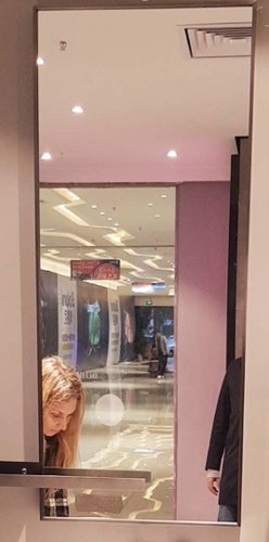 Slika od OGLEDALO BRONZA 50X120 CM