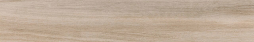 Slika od AT.AREN SIENA 20X120