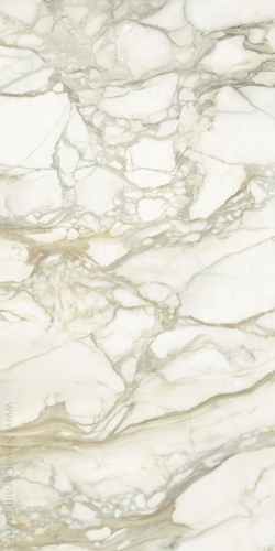 Slika od CALACATTA ORO 300X150