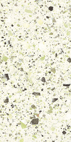 Slika od VENICE GREEN 60X120  SJAJNA