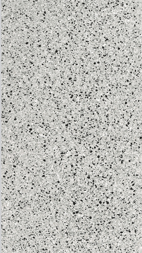 Slika od RIALTO SILVER 60X120  SJAJNA