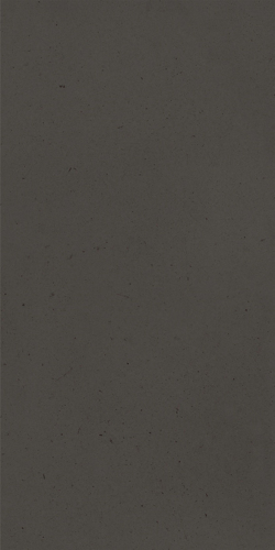 Slika od Palomastone Graphite 60X120cm rec.