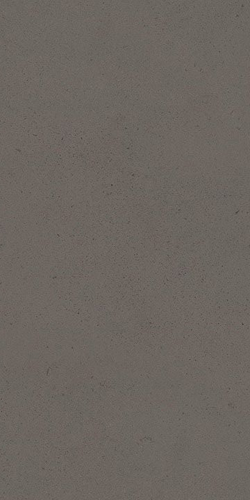 Slika od Palomastone Graphite 30X60cm
