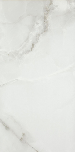 Slika od FENIX GRIS 60x120 F4