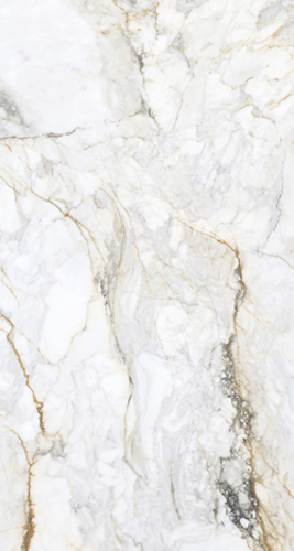 Slika od CR.PISA GOLD 60X120cm