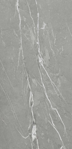 Slika od CASANIA GREY MATT 120X260cm (6mm)