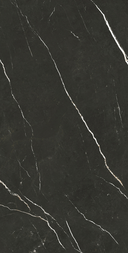 Slika od Elite Black 60X120cm sjajna