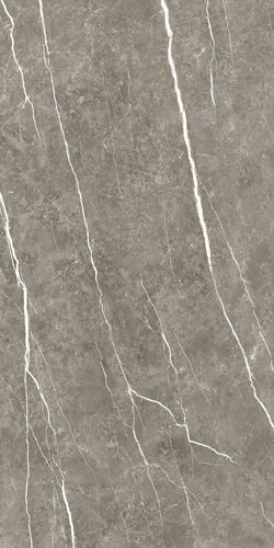 Slika od Elite Graphite 60X120cm sjajna