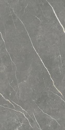 Slika od Elite Graphite 60X120cm mat