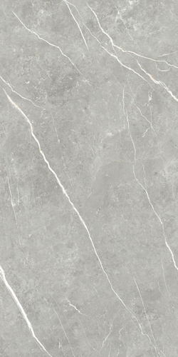 Slika od Elite Gray 60X120cm sjajna