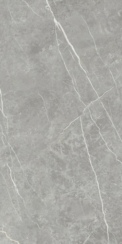 Slika od Elite Gray 60X120cm mat