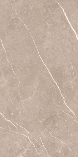 Slika od Elite Greige 60X120cm sjajna