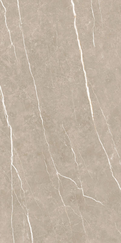 Slika od Elite Greige 60X120cm mat