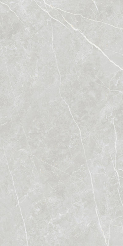 Slika od Elite Silver 60X120cm mat