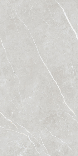 Slika od Elite Silver 60X120cm sjajna