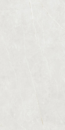 Slika od Elite White 60X120cm mat