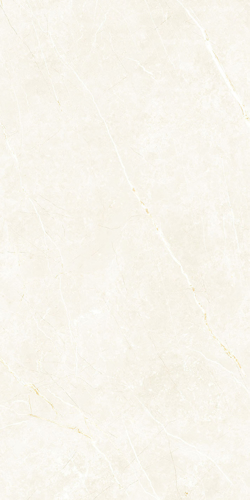 Slika od Elite White 60X120cm sjajna