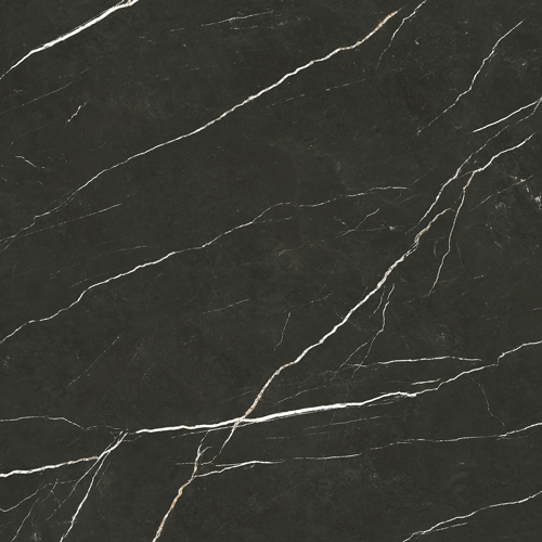 Slika od Elite Black 120X120cm sjajna