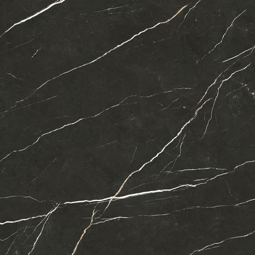 Slika od Elite Black 120X120cm mat