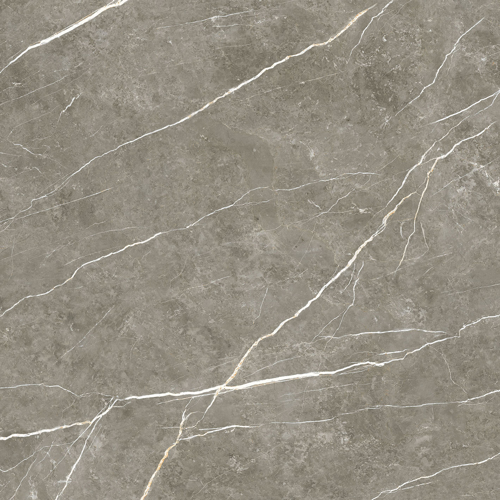 Slika od Elite Graphite 120X120cm sjajna