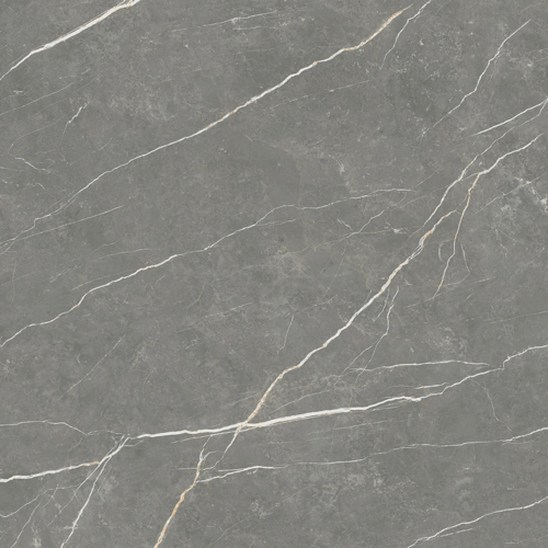 Slika od Elite Graphite 120X120cm mat