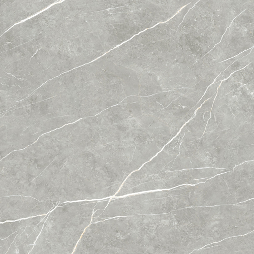Slika od Elite Gray 120X120cm sjajna