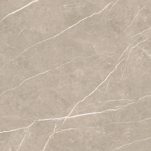 Slika od Elite Greige 120X120cm mat