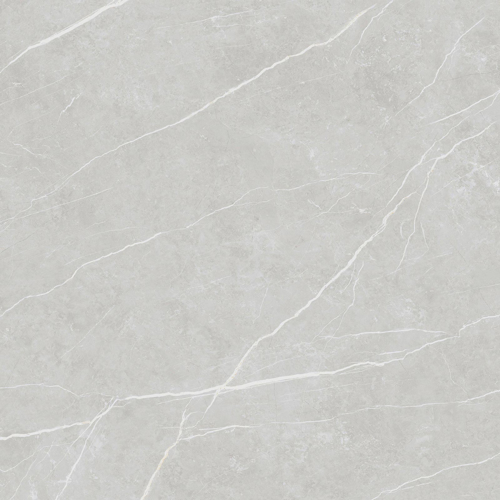 Slika od Elite Silver 120X120cm mat