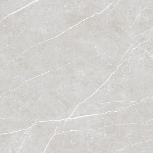Slika od Elite Silver 120X120cm sjajna