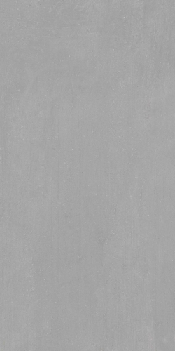 Slika od LEMA SILVER MAT 60X120