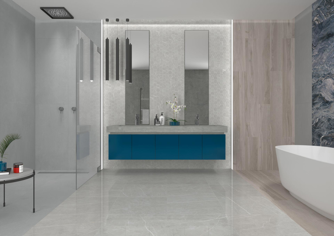 Slika od LEMA SILVER MAT 60X120