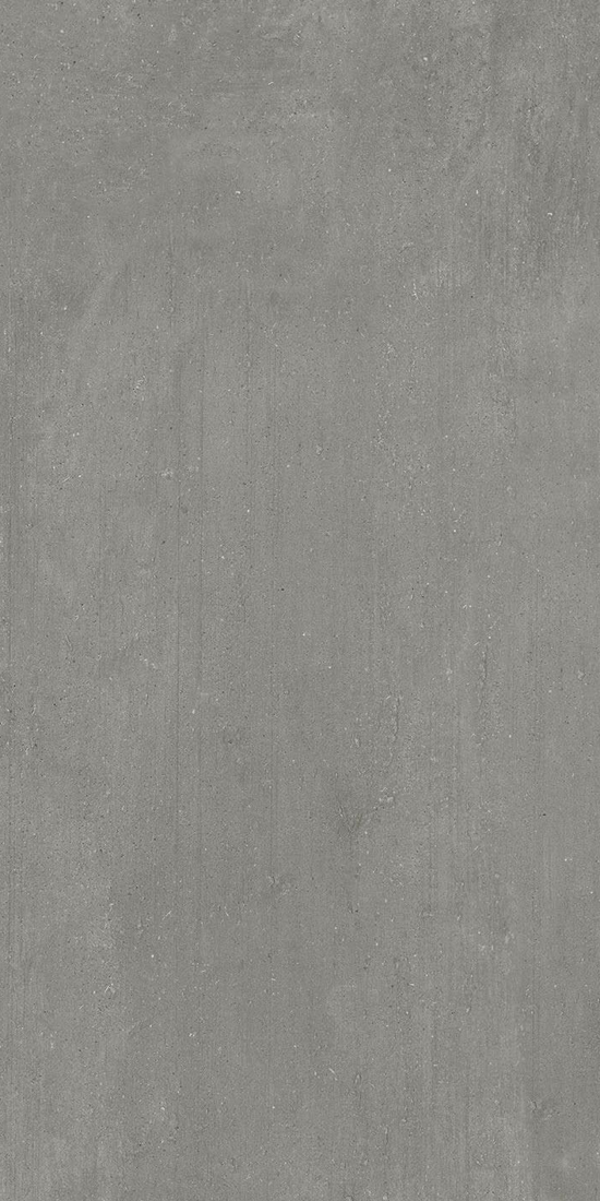 Slika od LEMA GRAY MAT 60X120