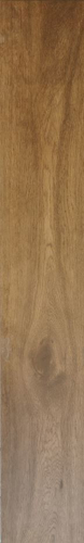 Slika od PRO.QUERCIA ROVERE 25X150